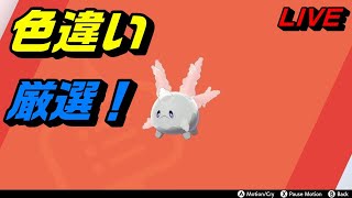 色違いサニーゴ（A0夢）をヨクバリス【ポケモン剣盾：ライブ】　#剣盾　#ライブ　#厳選