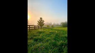 Mary Chapin Carpenter: Songs From Home Episode 30: Another Home