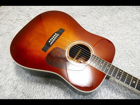 Morris M-50 Morris M-50 ハカランダ ジャパンヴィンテージギター