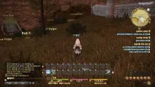 파이널판타지14 ( FINAL FANTASY14 ONLINE) CBT 1080P 전투영상