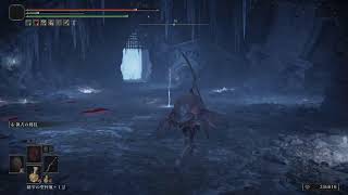 ELDEN RING:DLC#3