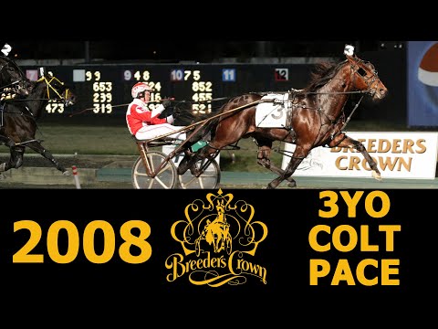 2008 Breeders Crown - Somebeachsomewhere - 3CP