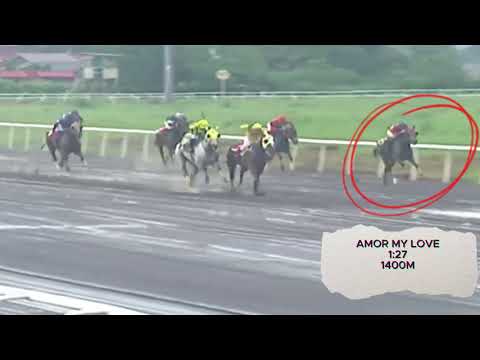 UNLIBURN//AMOR MY LOVE//KDJM JUVENILE STAKE RACE OCT 08,2023#bayangkarerista #kareratips#shortvideo