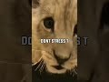 Nothing Is Permanent In Life WhatsApp Status Motivational Qoutes