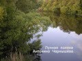 Лунная поляна - Антонина Чернышёва 