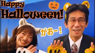 虎のコスプレをさせられる山口さん/インスタライブ【江川清音×山口剛央】