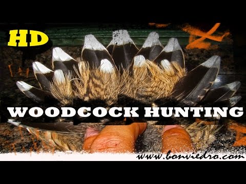 WOODCOK HUNTING #3 | CACCIA alla BECCACCIA | CHASSE BÉCASSE | CAÇA GALINHOLA | 2015/2016 | HD |