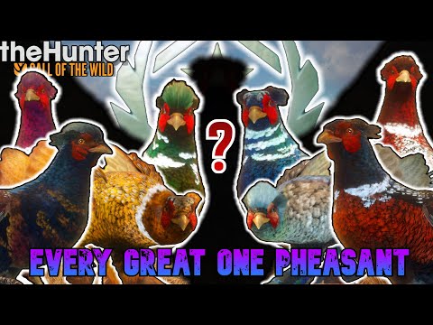 I Spent Almost A YEAR Hunting EVERY Great One Pheasant Variation - Including Something INSANE! COTW