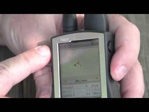 sportdog training video