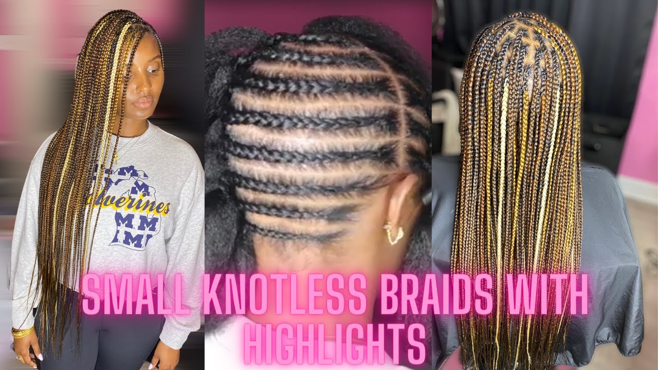 Small Knotless Braids With Highlights l KNOTLESS BOX BRAIDS ~ Butt Length Braids l PolishedbyTesia