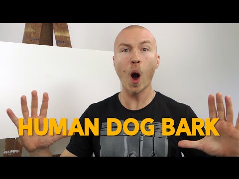 WIE MAN WIE EIN HUND BELLT!?