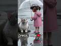Hope S Magical Adventure Hello Hope Cute Cat Meow Funny