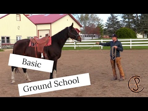 Basic Ground Exercises for Horses 101...