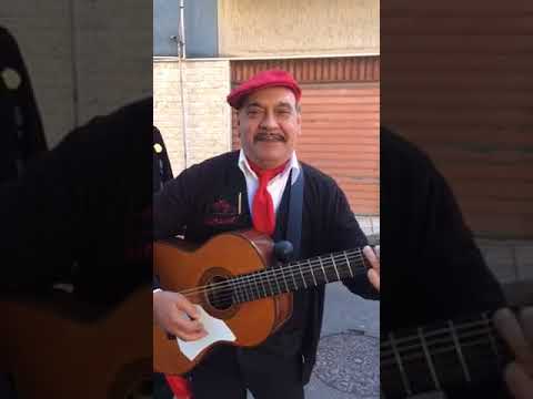 Luciano occhino canta Succhiami il legno