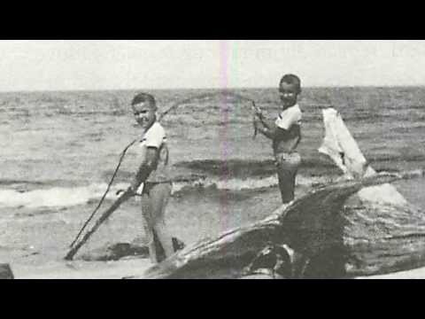 download lagu mp3 mp4 Bill Vidal, download lagu Bill Vidal gratis, unduh video klip Bill Vidal