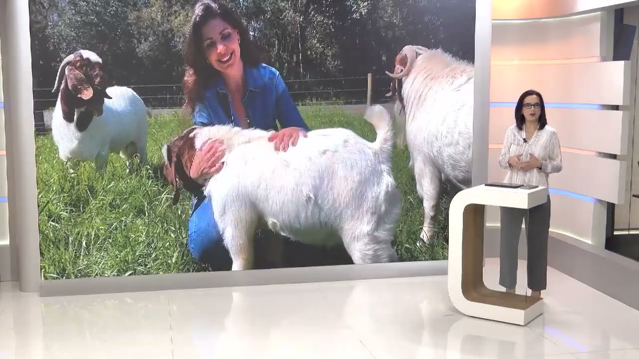 Dia Internacional da Mulher Rural: integração fundamental para o agro