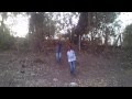 Swing On Tree Branch