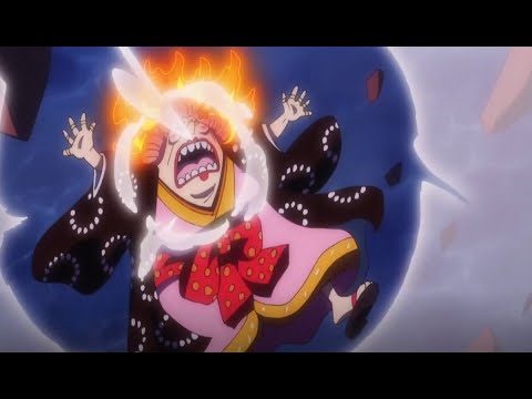 One Piece Wiki Anime Amino One Piece Wiki Anime Amino