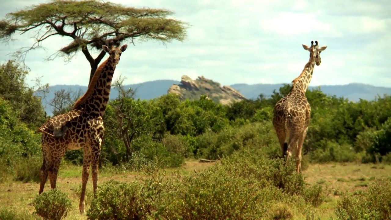 Tansania: ArushaNP (1:09)