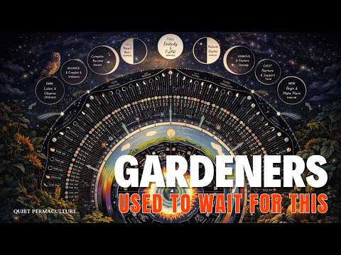 Moon Gardening Explained | How Lunar Cycles Have Guided Planting for Centuries