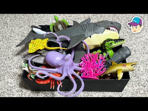 BIG BOX OF SEA ANIMALS