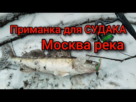 РЫБАЛКА в ДЕКАБРЕ | Москва река | Приманка для СУДАКА | Открытие зимнего СПИННИНГА