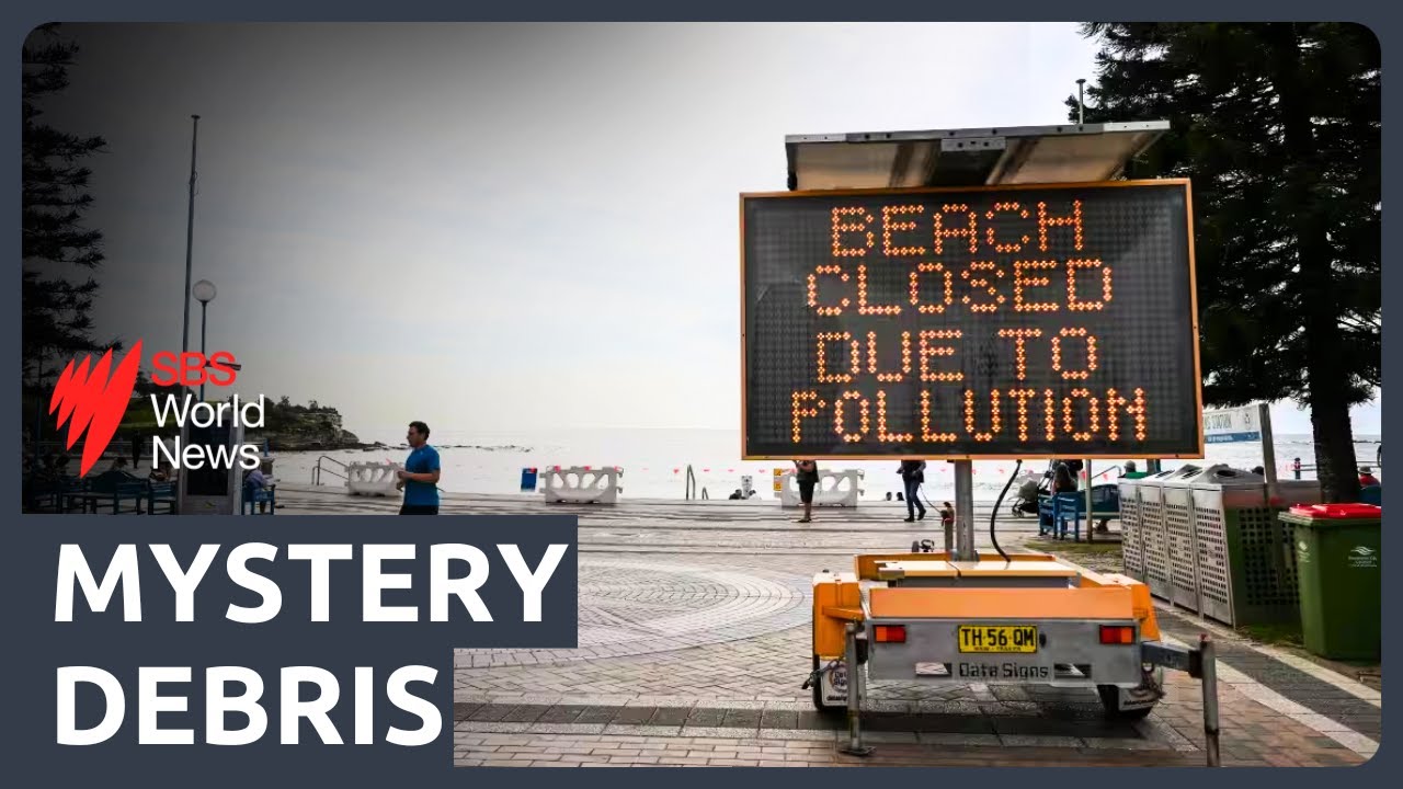 Mysterious debris washes up on popular Sydney beach