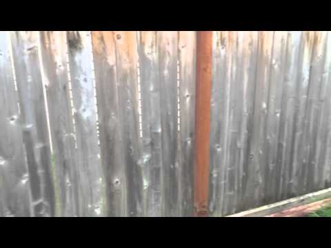 3242 Hoffman Hill Blvd ($313,500)