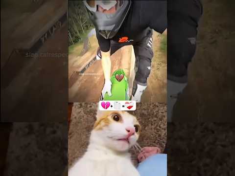 bro almost made it💀