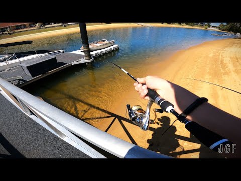 Land-based Light Tackle Lure Fishing At It’s Finest!