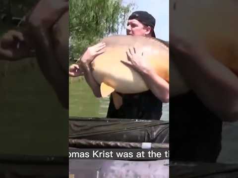 The Biggest Carp Ever To Be Caught Number 6! #Carp