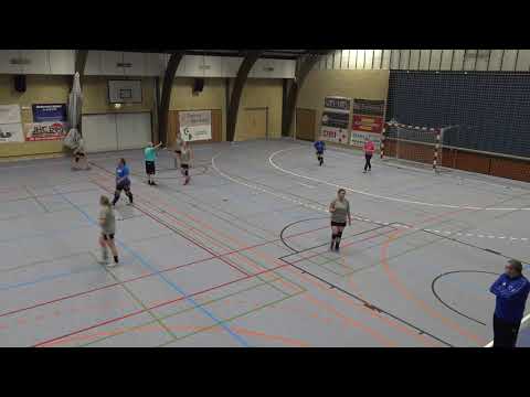 DTH: Serie 4 Damer A vs. Herrestrup IF (02.02.2020) - del 3/4