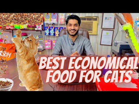 Homemade Economical Food For Every Cat│Best Source Of Proteins And Fats For Cats│Easy To Make Recipe