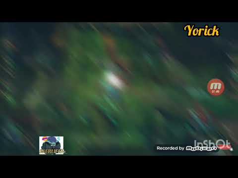 Yorick el imortal(skerlifer)