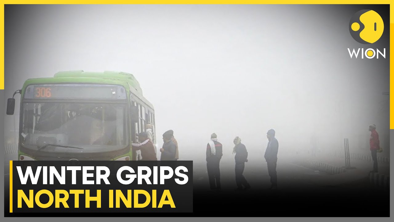 Severe Winter Conditions Continue Across Large Parts of India, IMD Warns of Dense Fog | WION