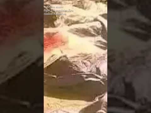 hacaaluu asheetuu dhigaa dhagalaa jiruu