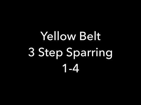 3 Step Sparring 1-4