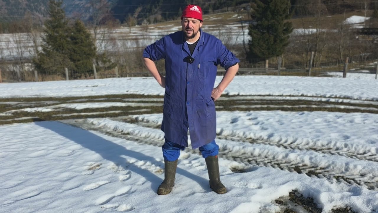 Das verseuchte brasilianische Rind