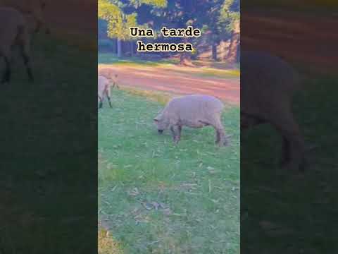 Arroyo leyes..un lugar hermoso..mi 🌎