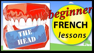 Parts of the head in French | Beginner French Lessons for Children