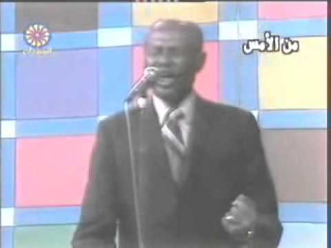 عسعس الليل خضر بشير