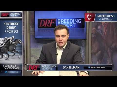 DRF Breeding Report -  Kentucky Derby Prospect  - Good Magic