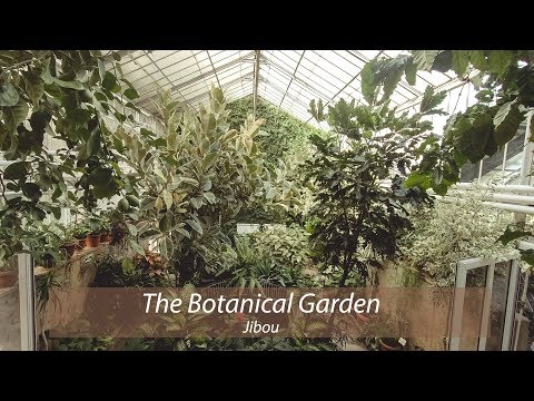 Gradina Botanica | Botanical Garden - Jibou