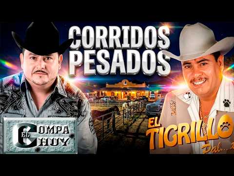 El Tigrillo Palma & El Compa Chuy - CORRIDOS PESADOS SELECCION PARA LA PEDA MIX 2025 💣