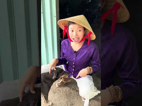 CON CHÓ TÊN GÌ ĐÂY #funny #viral #funnyvideo #trending #youtubeshorts #fyp #youtube #comedy