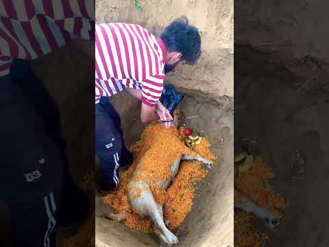 R.I.P My nikki 🚨😭 #shorts #dog #husky #trendingsongs #cat