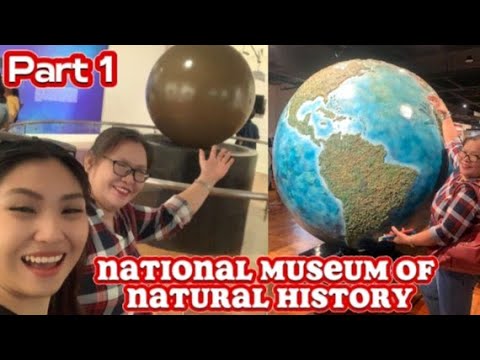 A DAY AT NATIONAL MUSEUM OF NATURAL HISTORY P1💞Vlog#328#nationalmuseum #history @eldithazerrudo9189