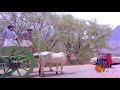 Kattavandi Kattavandi Kamalhaasan Hd Video Songs Sakalakalaa Vallavan Tamil Movie Video Song