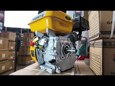 Двигатель Forte F210GS 20