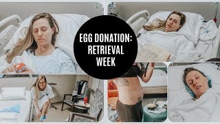 DONATING MY EGGS: Retrieval week || appt